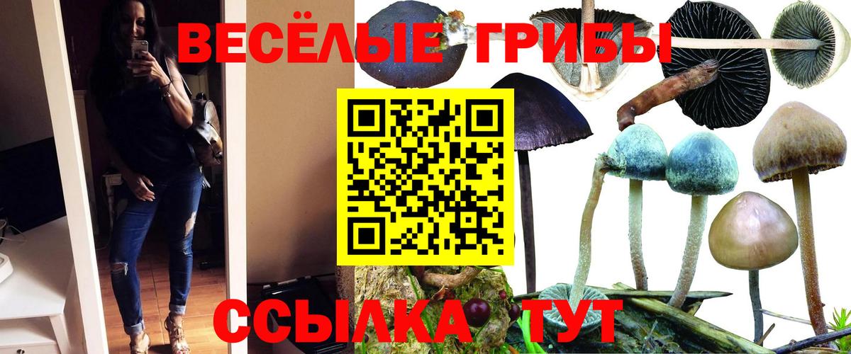 Галлюциногенные грибы ЛСД Иваново