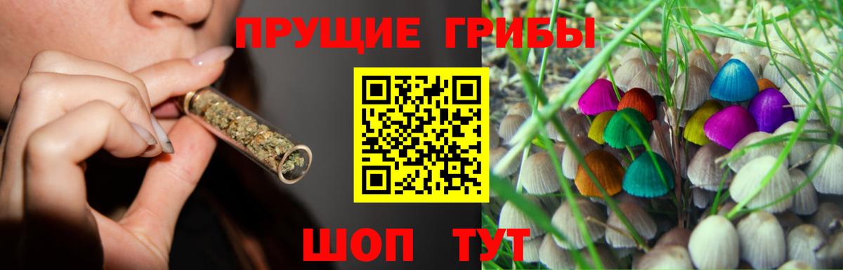 Иваново  Галлюциногенные грибы MAGIC MUSHROOMS  Вход с VPN  Псилоцибиновые грибы Psilocybe 
